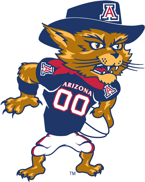 Arizona Wildcats 2003-Pres Mascot Logo v4 diy DTF decal sticker